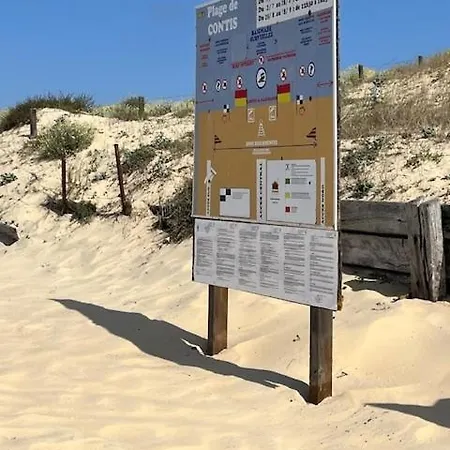 Magnifique Entre Et Ocean *